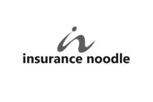 logos_0002_noodle-300x200